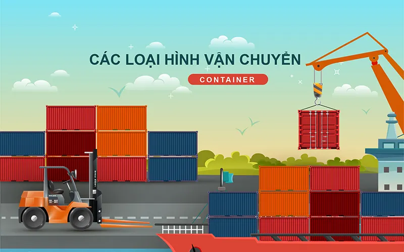 Các Loại Hình Dịch Vụ Feeder Phổ Biến Hiện Nay