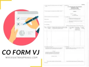 Mẫu CO Form VJ là gì?