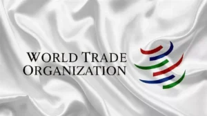 WTO có bao nhiêu thành viên? Danh sách cập nhật và vai trò của tổ chức này