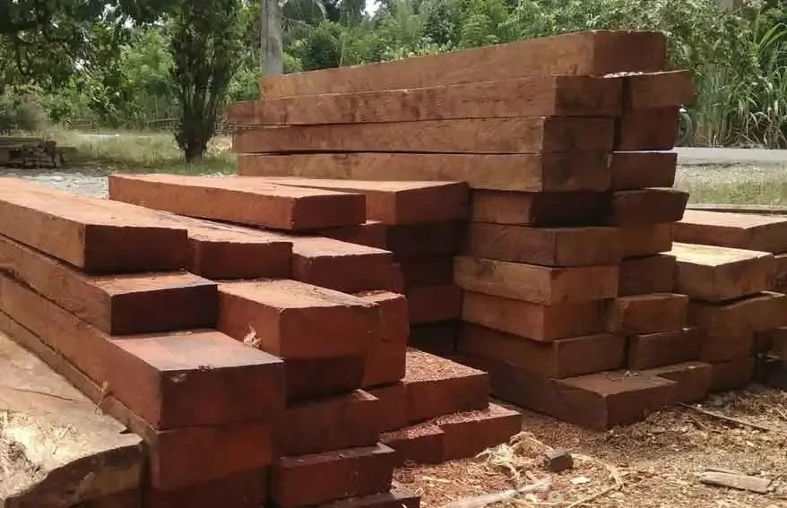Thủ tục nhập khẩu gỗ từ châu Phi: Hướng dẫn chi tiết từ A-Z cho người mới bắt đầu