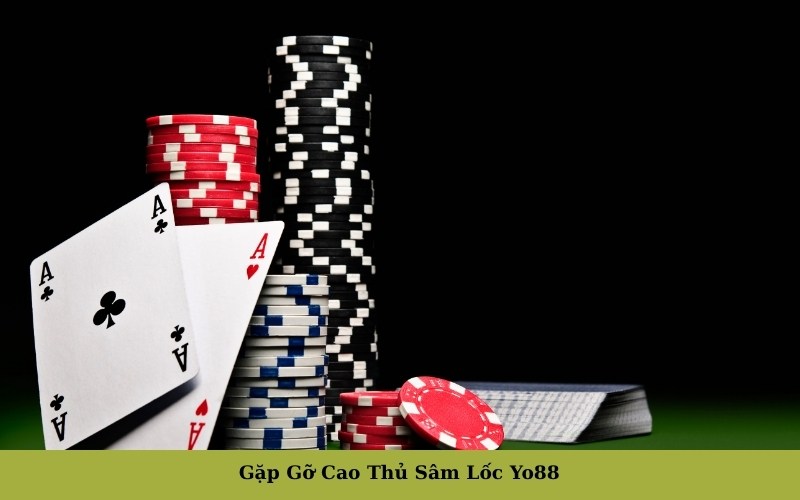 Gặp Gỡ Cao Thủ Sâm Lốc Yo88