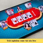 Trải nghiệm cược tài xỉu live