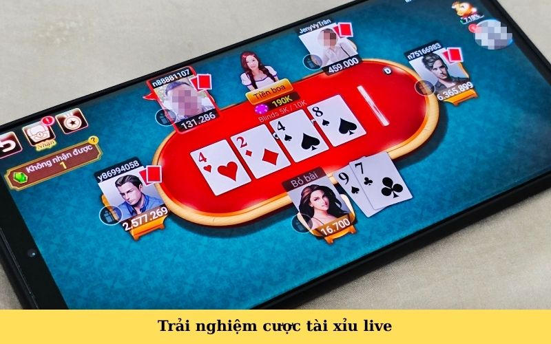 Trải nghiệm cược tài xỉu live
